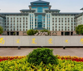 南京农业大学(南京农业大学是211大学吗)