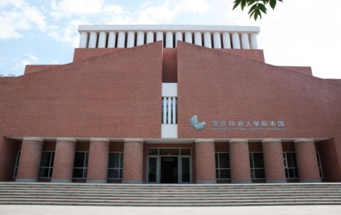 北京林业大学林学院是本科吗