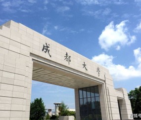 电子科技大学是985还是211