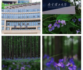 南京理工大学2024年录取分数线
