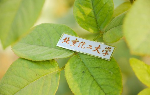 北京化工大学毕业证书什么样的