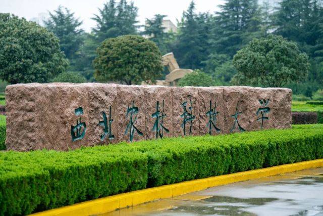 西北农林科技大学(西北农林科技大学调剂)