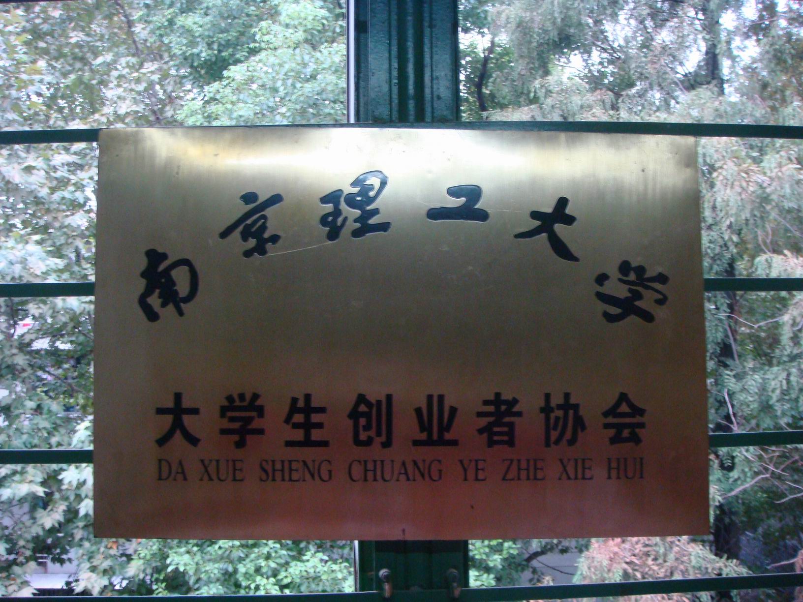 南京理工大学毕业证(东南大学毕业证)