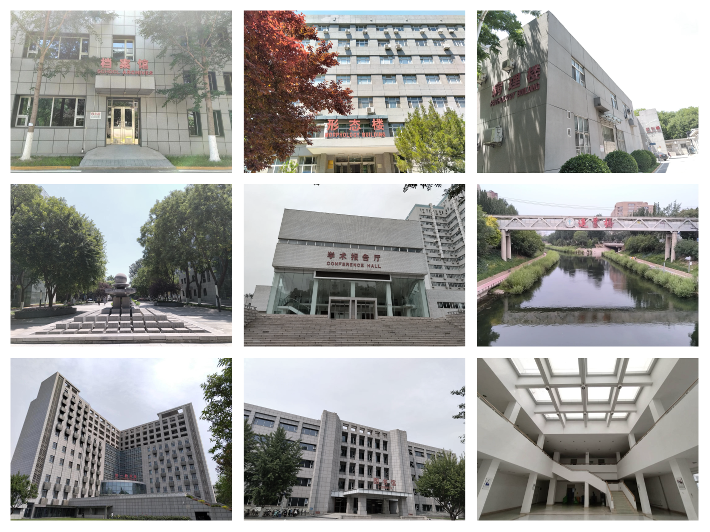 首都医科大学(首都医科大学附属北京儿童医院)