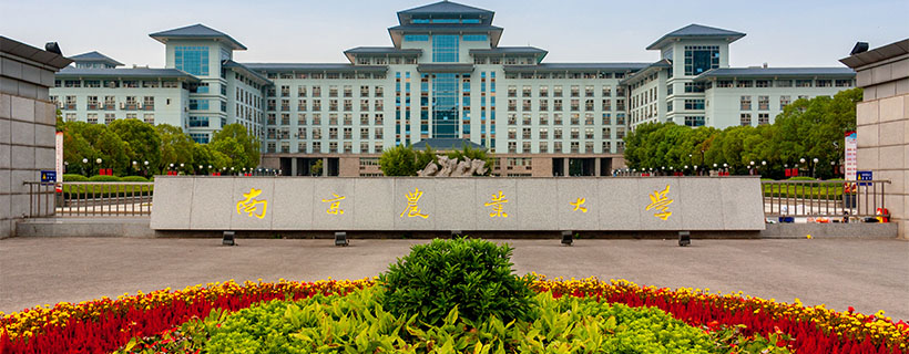 南京农业大学(南京农业大学是211大学吗)