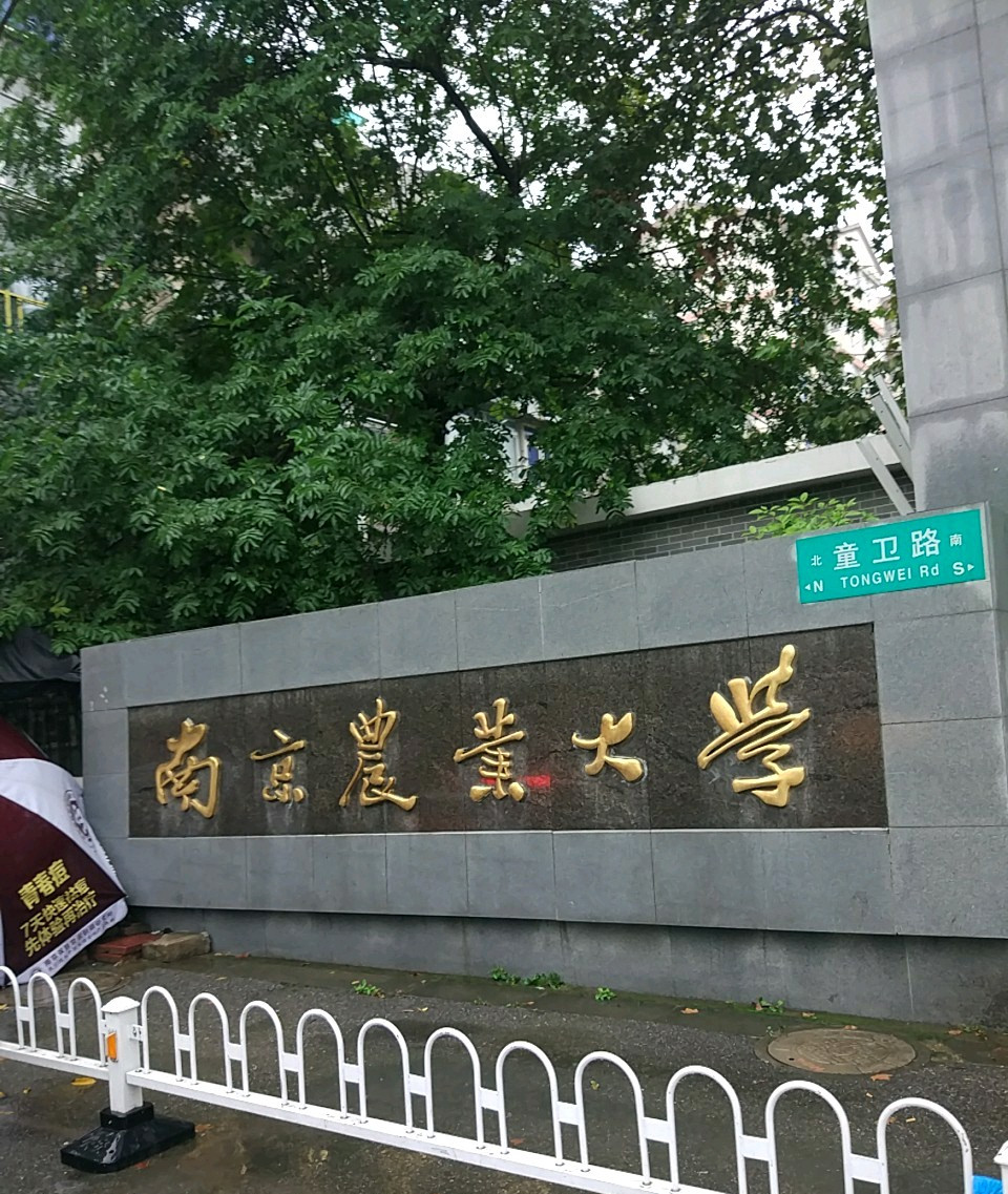 南京农业大学(南京农业大学是211大学吗)