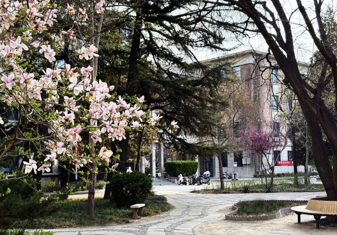 华北电力大学研究生院