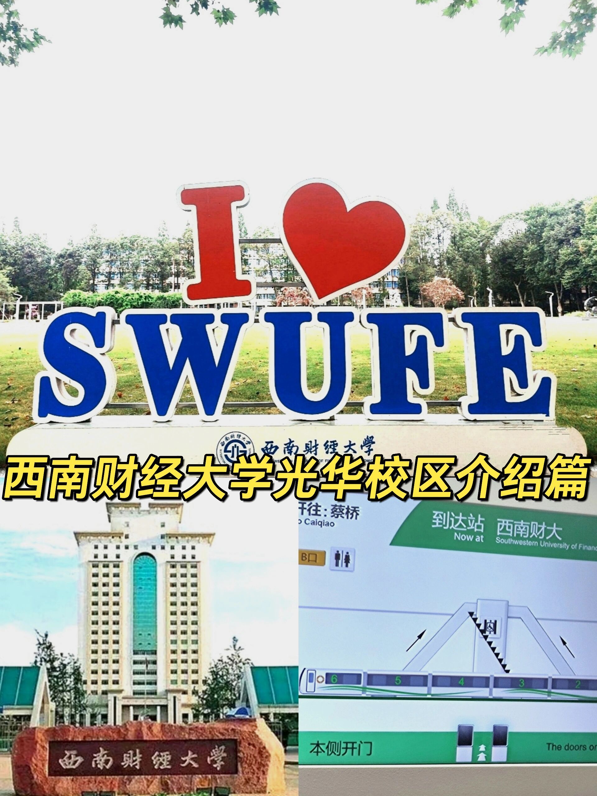 西南财经大学教务处