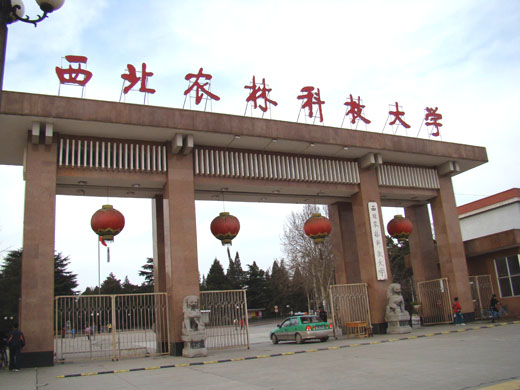 西北农林科技大学毕业照