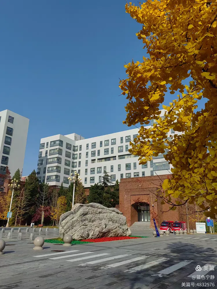 首都师范大学录取分数线