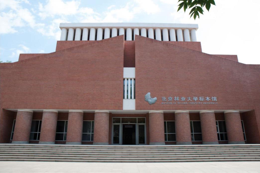 北京林业大学林学院是本科吗