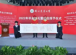 南京农业大学工学院毕业证
